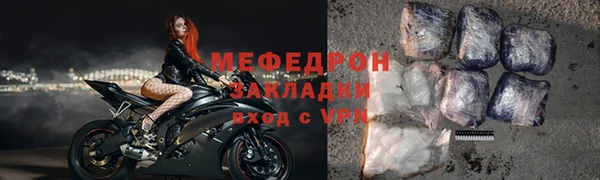 шишки Няндома