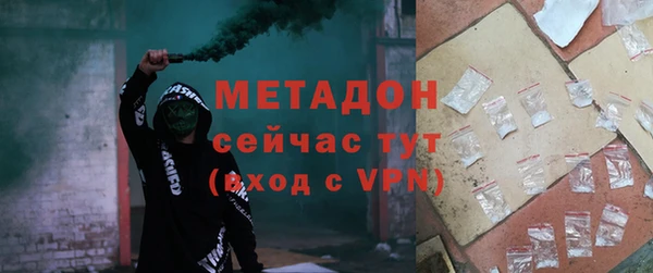 шишки Няндома