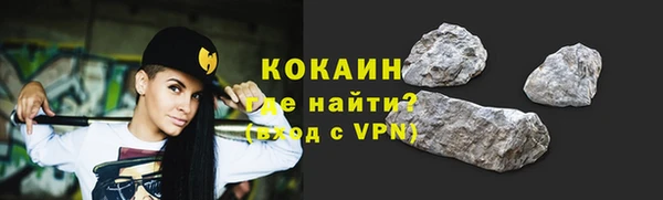 шишки Няндома
