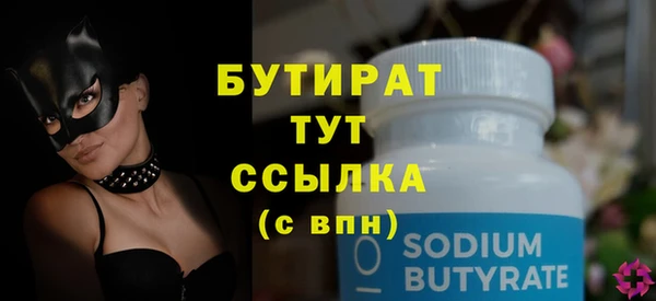 шишки Няндома