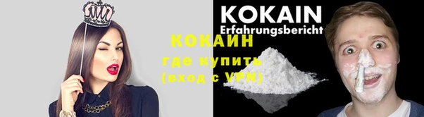 шишки Няндома