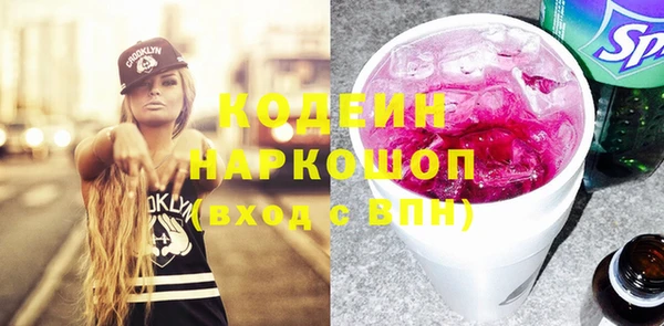шишки Няндома
