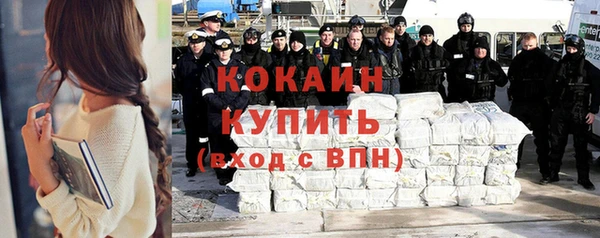 шишки Няндома