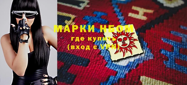 шишки Няндома