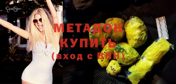 шишки Няндома
