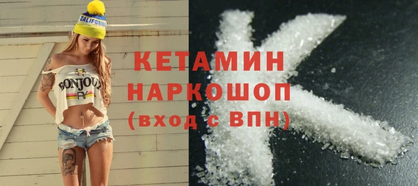 шишки Няндома