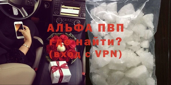 шишки Няндома