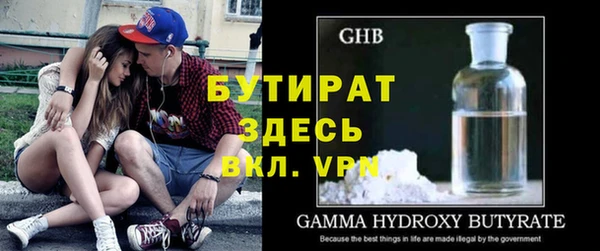 шишки Няндома